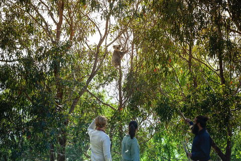 LGBT+ Friendly 3 Day Tour The Grampians, Daylesford & Ballarat - Foster Accommodation 4