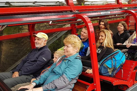 Blue Mountains Ultimate One-Day Tour - Foster Accommodation 0