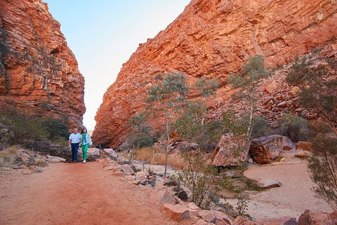 Best Of Alice Springs Full Day Tour - Foster Accommodation 1
