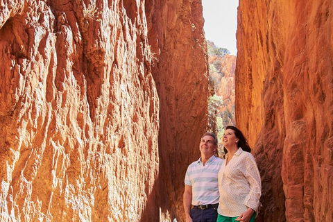 Best Of Alice Springs Full Day Tour - Foster Accommodation 4