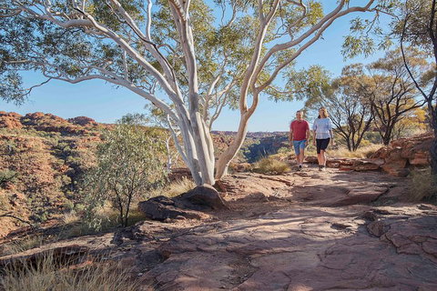 3-Day Tour From Uluru (Ayers Rock) To Alice Springs Via Kings Canyon - Foster Accommodation 1
