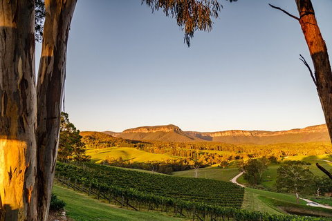 Taste Of The Blue Mountains - Lunch & Wine Tasting, Beer, Cider & Gin Tasting - Foster Accommodation 1