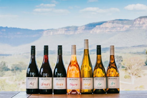 Taste Of The Blue Mountains - Lunch & Wine Tasting, Beer, Cider & Gin Tasting - Foster Accommodation 3