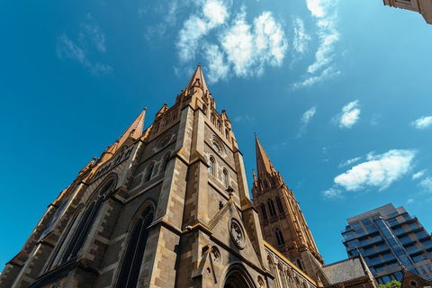 Highlights & Hidden Gems With Locals: Best Of Melbourne Private Tour - Foster Accommodation 4
