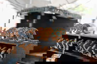 Full Coverage Sydney Private City Tour