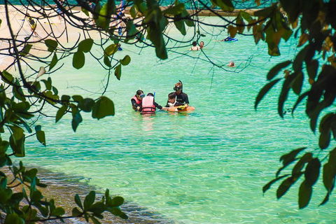 Green Island Day Trip From Cairns - Foster Accommodation 2