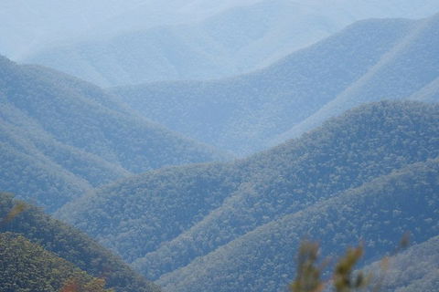 From The Mountains To The Bay - 4 Day Rediscovery Private Tour - Foster Accommodation 1