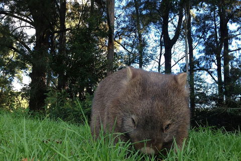 From The Mountains To The Bay - 4 Day Rediscovery Private Tour - Foster Accommodation 5