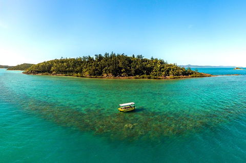 Airlie Beach Glass Bottom Boat Tour - Foster Accommodation 3