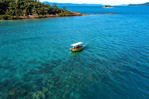 Airlie Beach Glass Bottom Boat Tour - Foster Accommodation 4