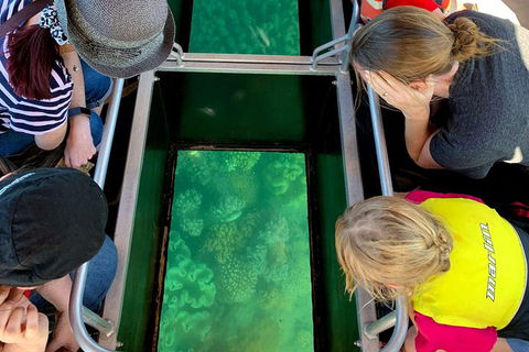 Airlie Beach Glass Bottom Boat Tour - Foster Accommodation 5