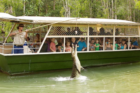 Hartley's Crocodile Adventure Half-Day Tour - Foster Accommodation 0