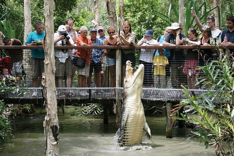 Hartley's Crocodile Adventure Half-Day Tour - Foster Accommodation 1
