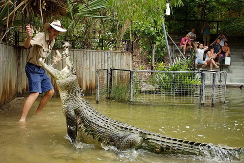 Hartley's Crocodile Adventure Half-Day Tour - Foster Accommodation 2