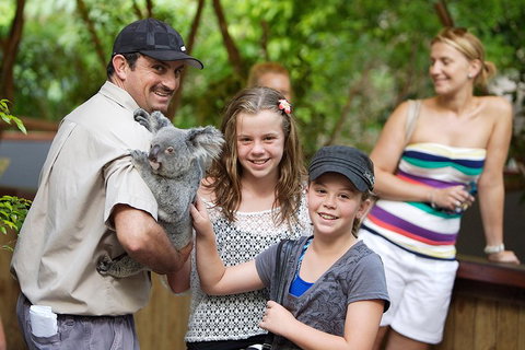 Hartley's Crocodile Adventure Half-Day Tour - Foster Accommodation 3