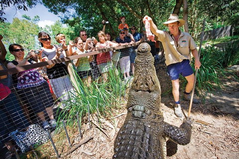 Hartley's Crocodile Adventure Half-Day Tour - Foster Accommodation 4