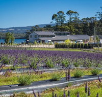 Private Hobart Discover South East Food and Scenic Tour