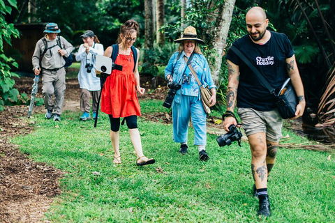 Let's Go Buggin & Let's Go Shroomin - Photography & Nature Walking Tours - Foster Accommodation 0