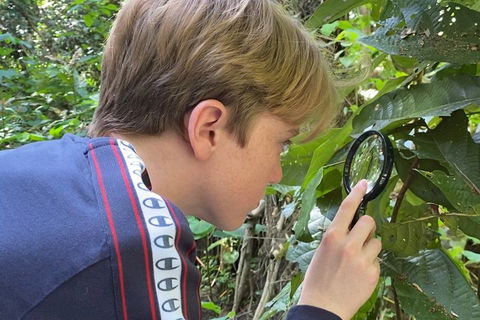 Let's Go Buggin & Let's Go Shroomin - Photography & Nature Walking Tours - Foster Accommodation 3