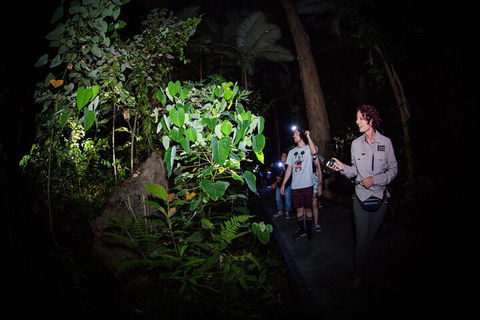 Let's Go Buggin & Let's Go Shroomin - Photography & Nature Walking Tours - Foster Accommodation 4