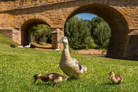Richmond Historic Afternoon Tour From Hobart - Foster Accommodation 1