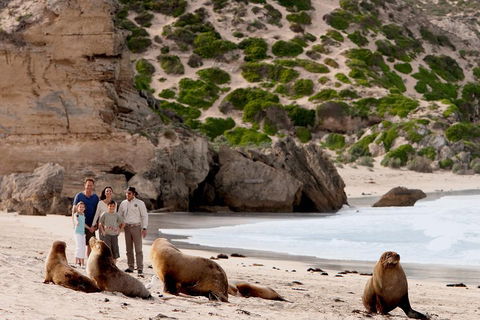 Kangaroo Island Scenic Trail Tour - Foster Accommodation 5