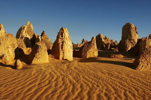 Full Day Pinnacle Desert Explorer From Perth Including Hillarys And Lancelin Sandboarding - Foster Accommodation 3