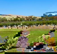 Private Picnic and Wine Tasting Experience in Barossa Valley - Foster Accommodation