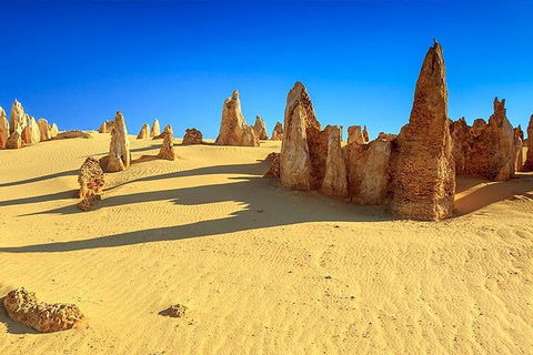 Full-Day Pinnacles Desert And Yanchep National Park Tour From Perth - Foster Accommodation 2