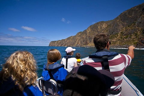 Seal Island Boat Tour From Victor Harbor - Foster Accommodation 0