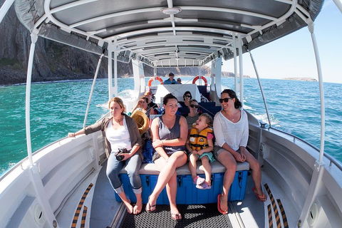 Seal Island Boat Tour From Victor Harbor - Foster Accommodation 1