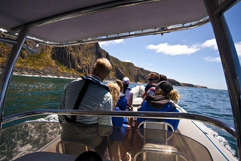 Seal Island Boat Tour From Victor Harbor - Foster Accommodation 2
