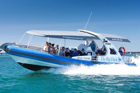 Seal Island Boat Tour From Victor Harbor - Foster Accommodation 3