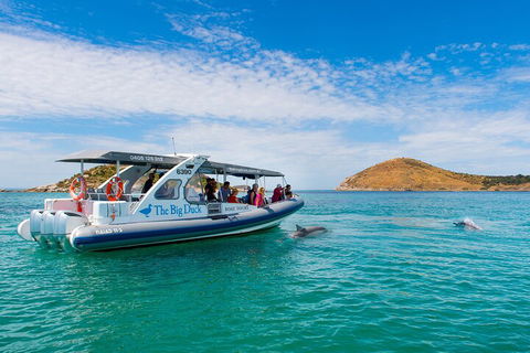 Southern Ocean Adventure From Victor Harbor - Foster Accommodation 1