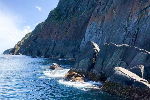 Southern Ocean Adventure From Victor Harbor - Foster Accommodation 3