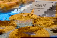 Sydney Walking Tour Secrets of Sydney