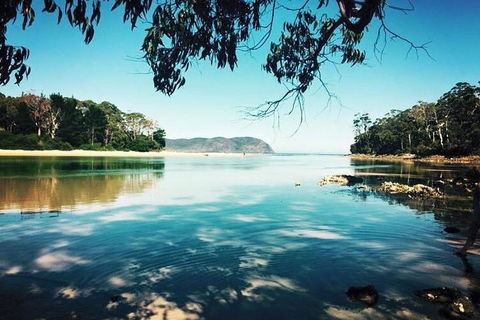 Full-Day Guided Bruny Island Tour From Hobart - Foster Accommodation 1