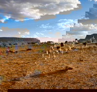 Mount Conner 4WD Small Group Tour from Ayers Rock including Dinner - Foster Accommodation