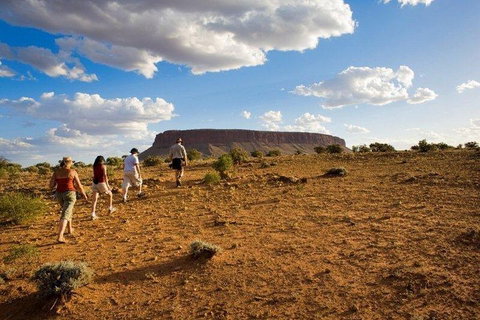 Mount Conner 4WD Small Group Tour From Ayers Rock Including Dinner - Foster Accommodation 0