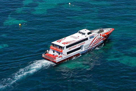 Discover Rottnest With Ferry & Bus Tour From Perth Or Fremantle - Foster Accommodation 3