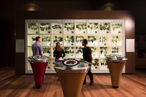 Australian Wine Discovery Tour Ticket - Foster Accommodation 3