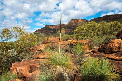 6-Day Eyre Peninsula & Flinders Ranges Adventure Tour - Foster Accommodation 1