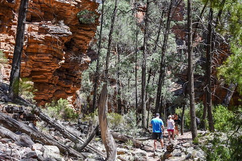 6-Day Eyre Peninsula & Flinders Ranges Adventure Tour - Foster Accommodation 5