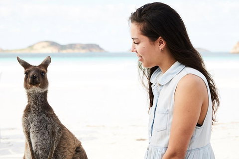 10 Day Perth To Adelaide Private Tour - The Great Australian Wilderness Journey - Foster Accommodation 2