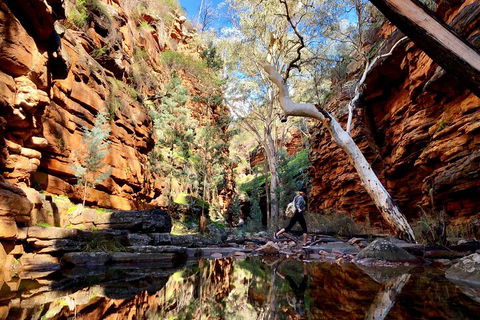 10-Day Adelaide To Perth Adventure Tour - Foster Accommodation 5