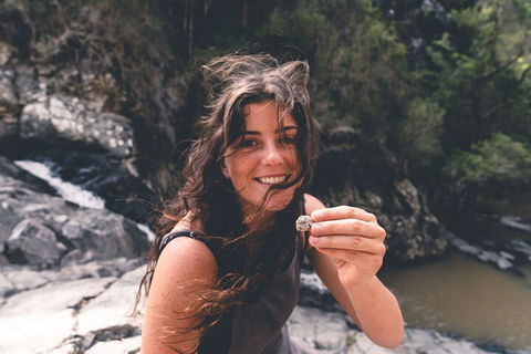 Springbrook AndTamborine Rainforest Tour Incl Natural Bridge And Glow Worm Cave - Foster Accommodation 1