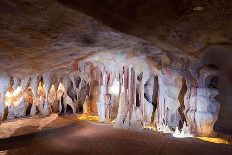 Springbrook AndTamborine Rainforest Tour Incl Natural Bridge And Glow Worm Cave - Foster Accommodation 4