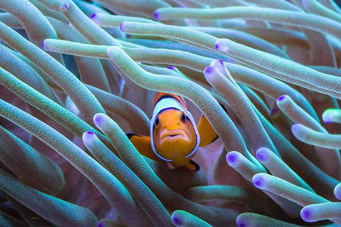 General Admission Entry At AQWA - Foster Accommodation 4