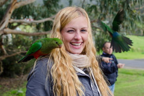 Great Ocean Road Reverse Itinerary With 12 Apostles From Melbourne - Foster Accommodation 0