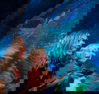 SEA LIFE Sunshine Coast Aquarium Entrance Ticket - Foster Accommodation